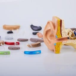 Collection of hearing aids next to ear model.